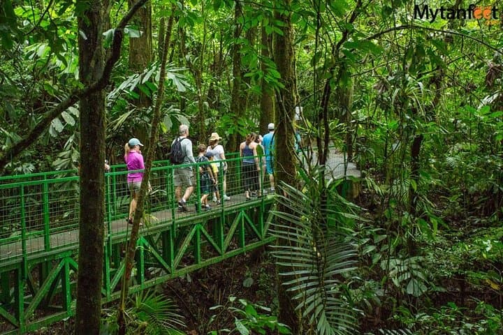 Mistico Arenal Hanging Bridges: Private Canopy Walk From Guanacaste photo 6