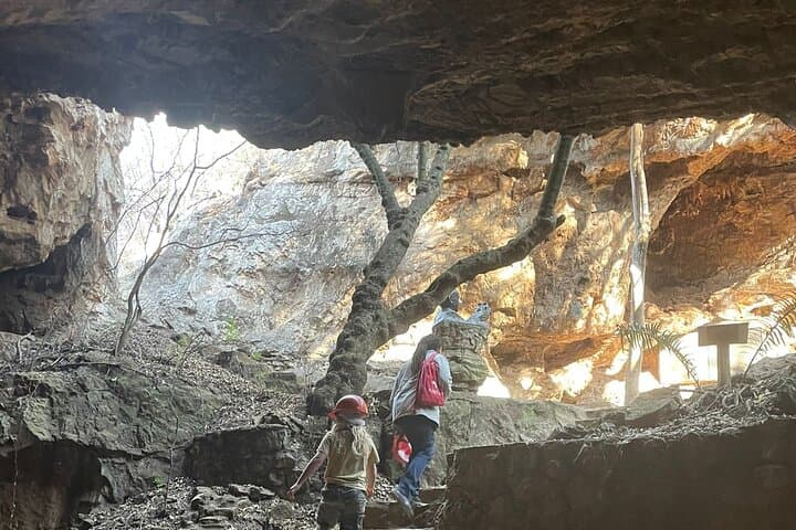 Explore Sterkfontein Caves and Maropeng — Cradle of Humankind Half-Day Tour photo 2