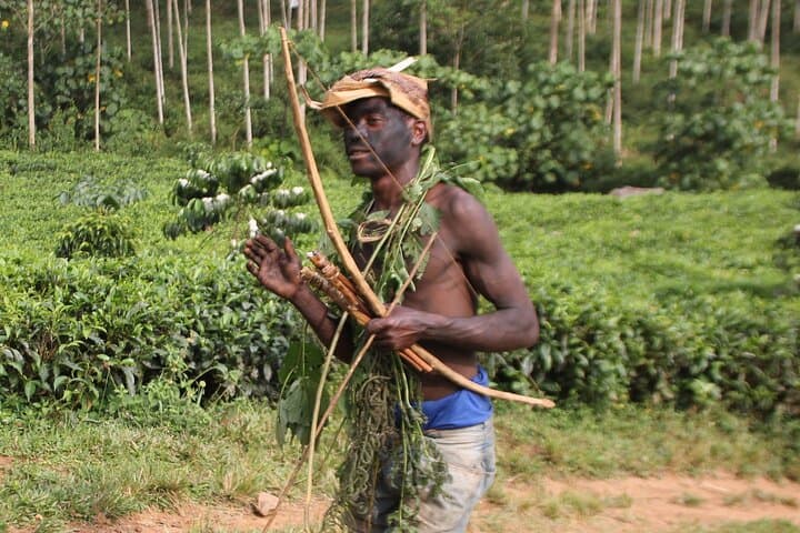 12-Day Uganda Chimps, Gorillas & Waterfalls Safari