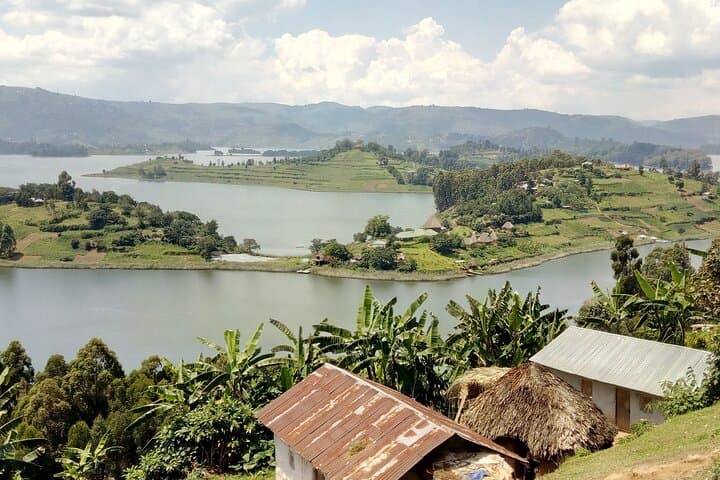 12-Day Uganda Chimps, Gorillas & Waterfalls Safari photo 4