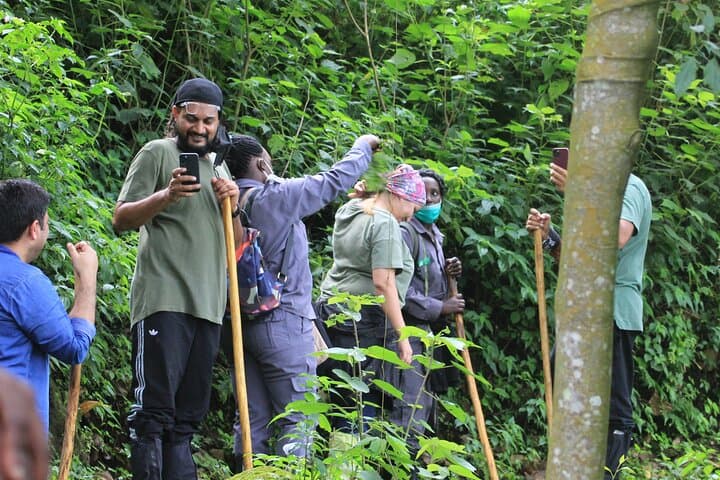 12-Day Uganda Chimps, Gorillas & Waterfalls Safari photo 6