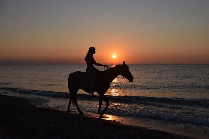 Sunrise & Sunset Horse Ride on Lara Beach: Antalya Equestrian Forest Safari photo 2