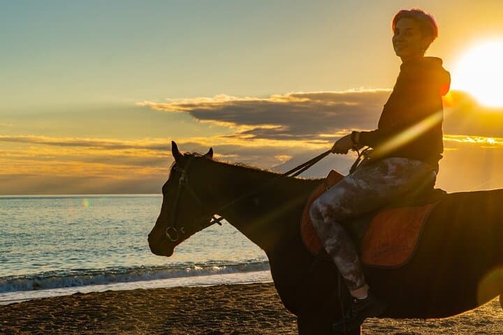 Sunrise & Sunset Horse Ride on Lara Beach: Antalya Equestrian Forest Safari photo 1