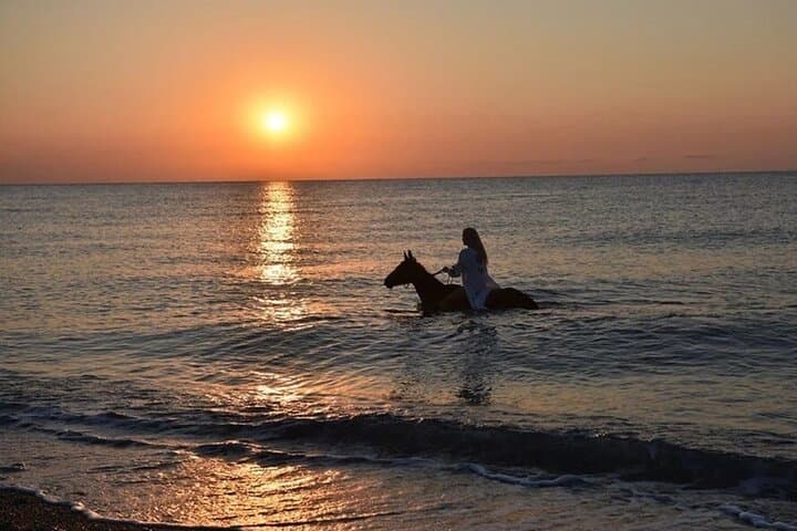 Sunrise & Sunset Horse Ride on Lara Beach: Antalya Equestrian Forest Safari photo 3