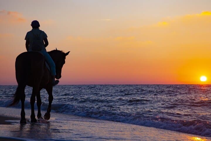 Sunrise & Sunset Horse Ride on Lara Beach: Antalya Equestrian Forest Safari photo 4