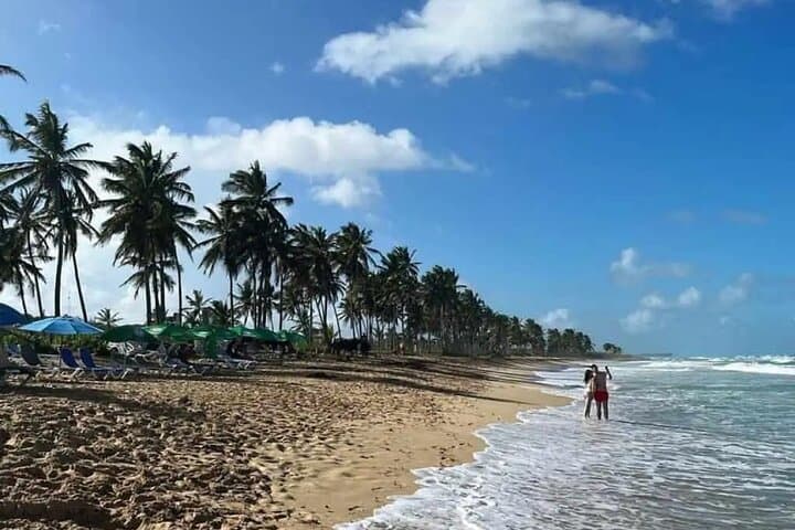 Exploring Punta Cana: A Full Day Immersion photo 2