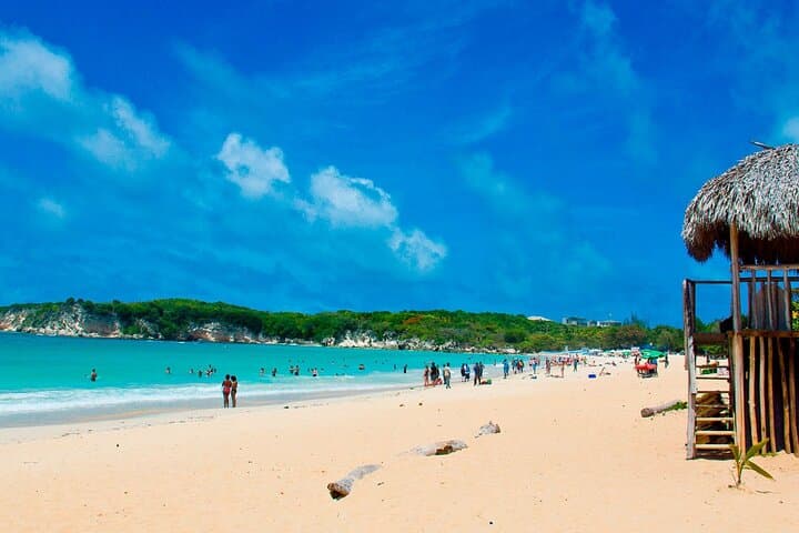 Exploring Punta Cana: A Full Day Immersion photo 3