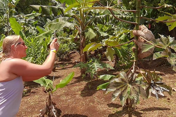 Private Rainforest, Waterfall & Chocolate Tour Near Liberia, Costa Rica photo 1