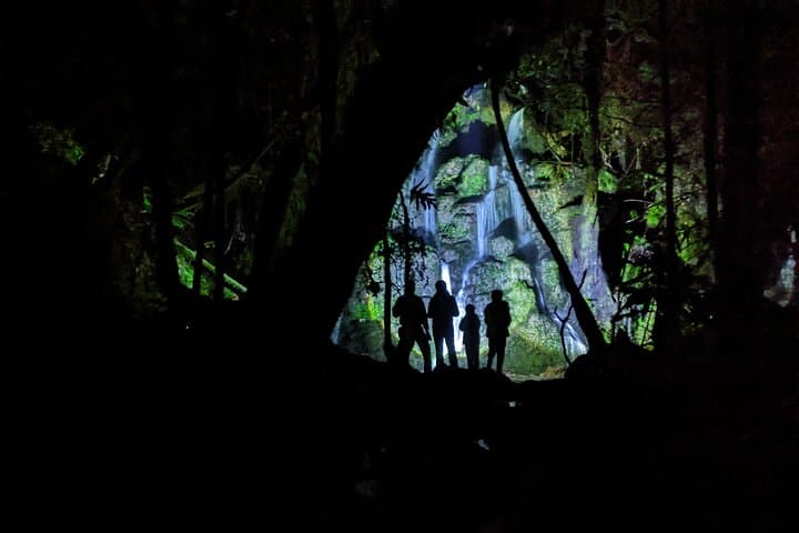 Rotorua Glow-worm Night Walk: Nocturnal Native Bush & Stargazing Tour
