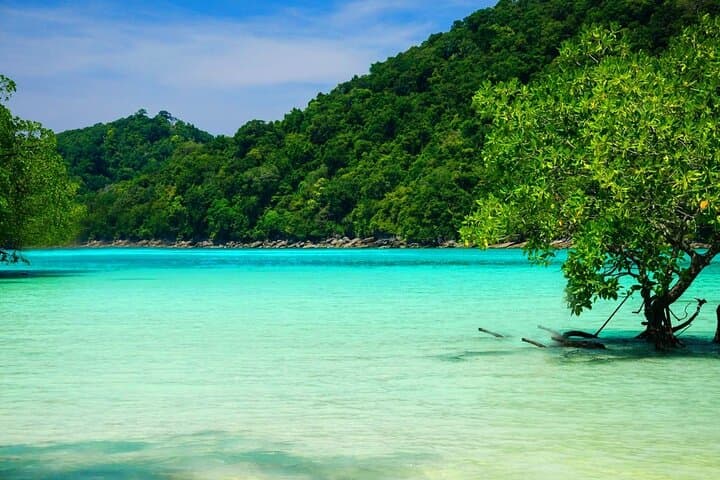Similan Islands Day Trip: Snorkel the Andaman's Clear Waters from Khao Lak photo 6