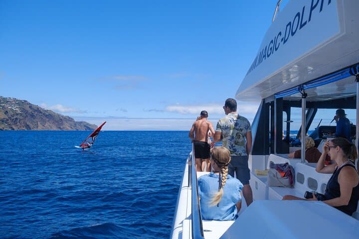 Madeira Eco Catamaran Dolphin and Whale Watching Cruise photo 5