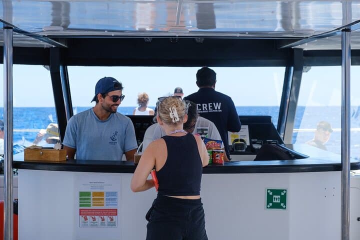 Madeira Eco Catamaran Dolphin and Whale Watching Cruise photo 4
