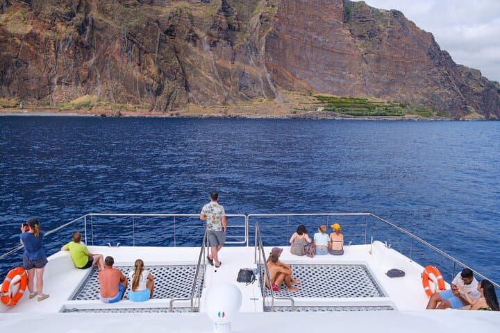 Madeira Eco Catamaran Dolphin and Whale Watching Cruise photo 3