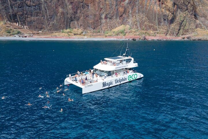 Madeira Eco Catamaran Dolphin and Whale Watching Cruise photo 2