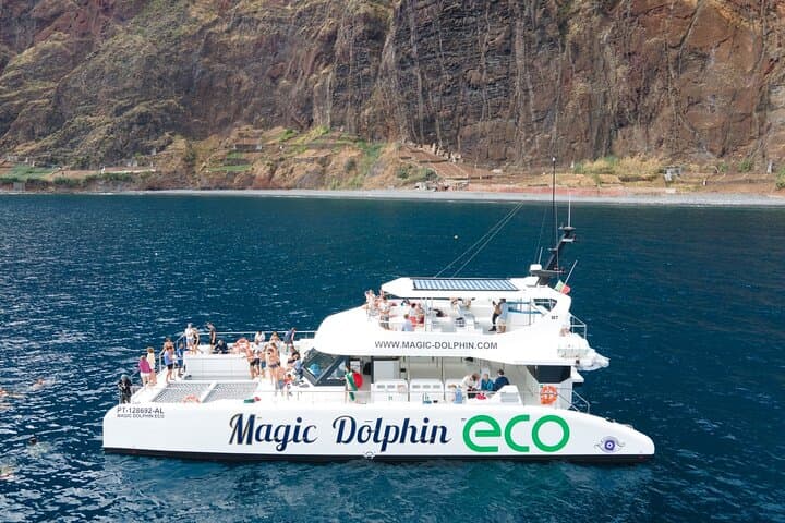 Madeira Eco Catamaran Dolphin and Whale Watching Cruise