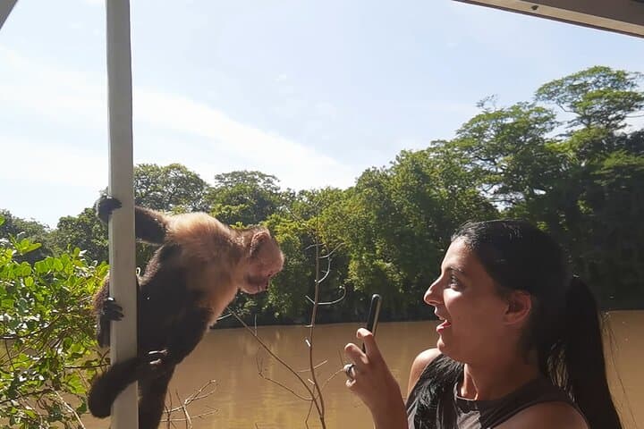 Palo Verde River Cruise and Sugarcane Culture: Tempisque Wildlife & Local Traditions