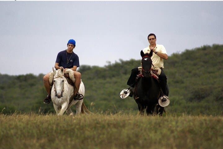 Private Rural Horseback Riding, Zipline & Footgolf Day Trip near Córdoba
