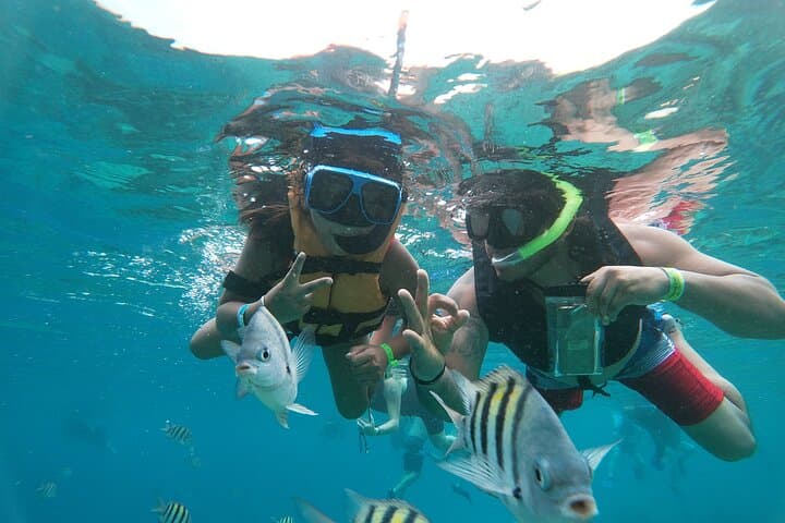 Chankanaab Park Cozumel Day Pass and Snorkeling on the Mesoamerican Reef