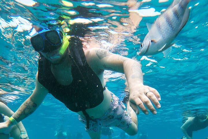 Chankanaab Park Cozumel Day Pass and Snorkeling on the Mesoamerican Reef photo 6