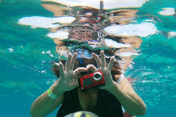 Chankanaab Park Cozumel Day Pass and Snorkeling on the Mesoamerican Reef photo 2