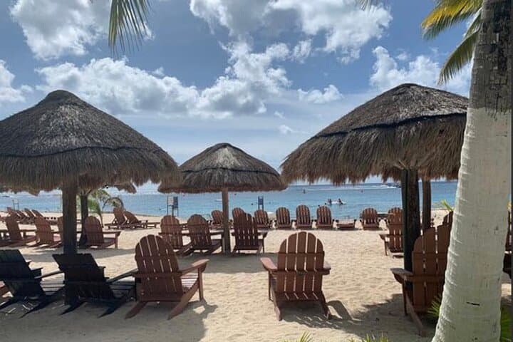Chankanaab Park Cozumel Day Pass and Snorkeling on the Mesoamerican Reef photo 3