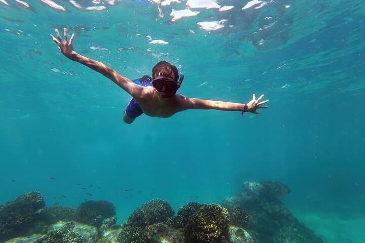 Los Cabos Whale Watching & Snorkeling Combo with Free Photos photo 2