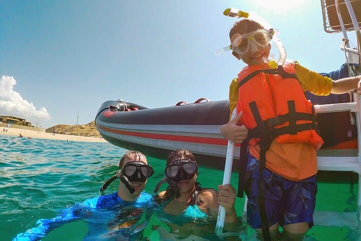 Los Cabos Whale Watching & Snorkeling Combo with Free Photos photo 4