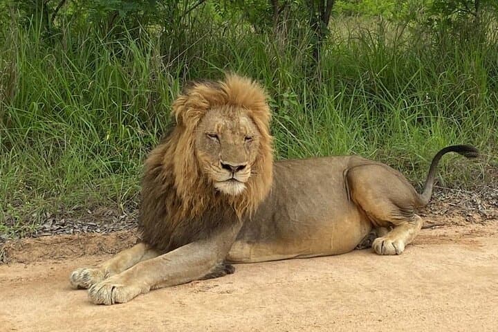 Blyde River Canyon to Kruger: 48-Hour Safari and Panorama Tour photo 1