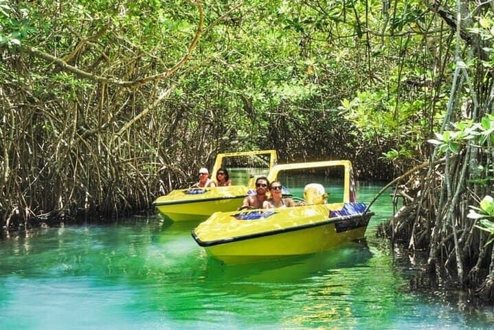 Mangrove Jungle Speedboat Tour to Punta Nizuc Reef photo 3