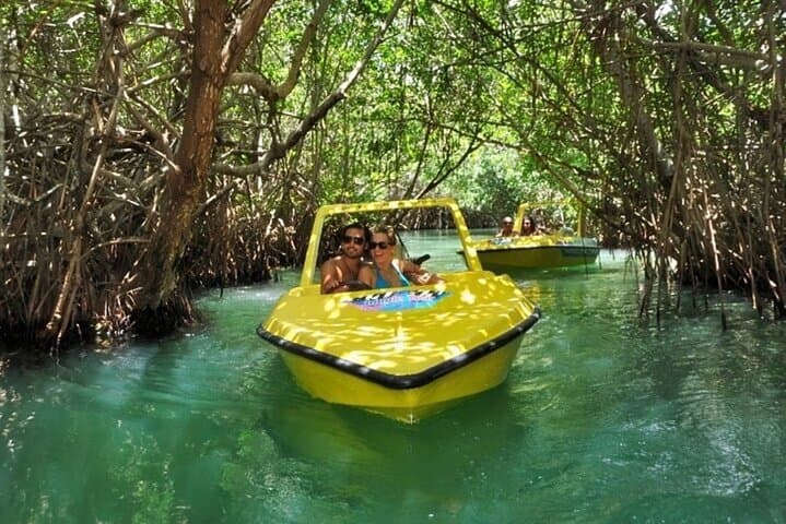 Mangrove Jungle Speedboat Tour to Punta Nizuc Reef