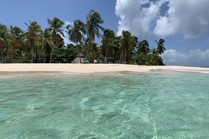 Los Haitises and Cayo Levantado Day Trip from Santo Domingo — Boat Tour to Bacardí Island photo 6