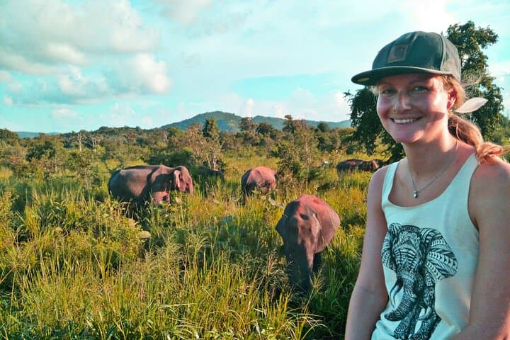 Minneriya & Kaudulla Jeep Safari — Great Elephant Gathering, Birds and Reservoir Country photo 2
