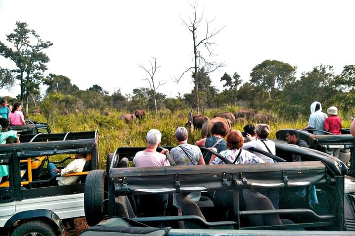 Minneriya & Kaudulla Jeep Safari — Great Elephant Gathering, Birds and Reservoir Country photo 4