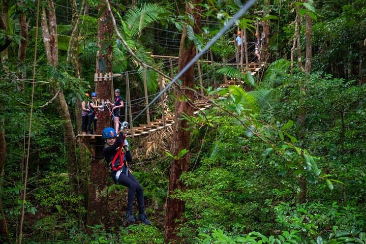 Exploring Cape Tribulation and Ziplining Through the Daintree Rainforest photo 4