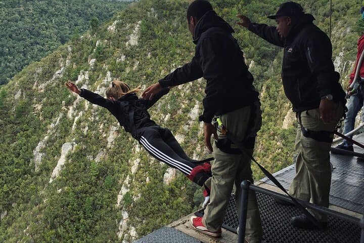 Garden Route in 3 Nights: Private 4-Day Tour from Cape Town to Port Elizabeth photo 3