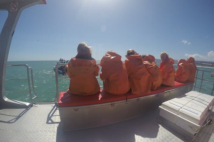 Garden Route in 3 Nights: Private 4-Day Tour from Cape Town to Port Elizabeth photo 5