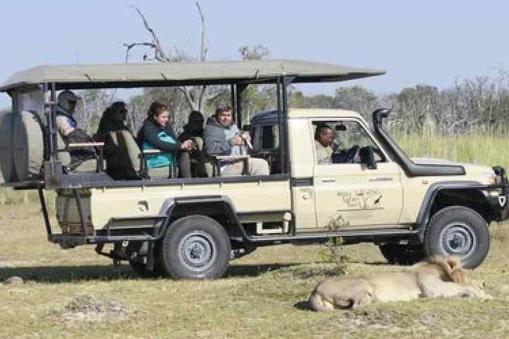 Elephant Trail Moremi Day Tour — Full-Day Safari from Maun into Moremi Game Reserve photo 3