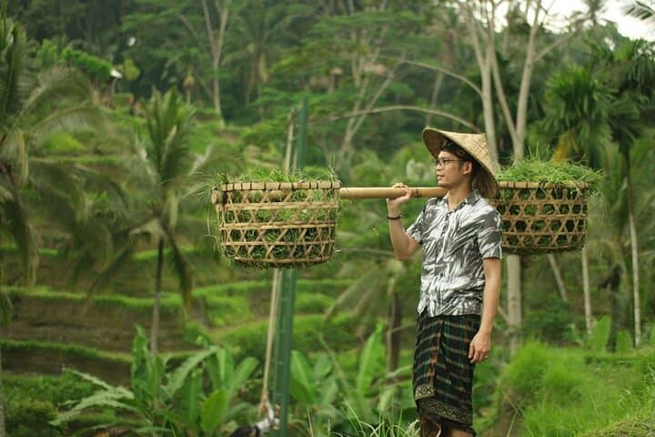 Custom Bali Private Driver Tour: Ubud, Rice Terraces & Temples in 8–10 Hours photo 5