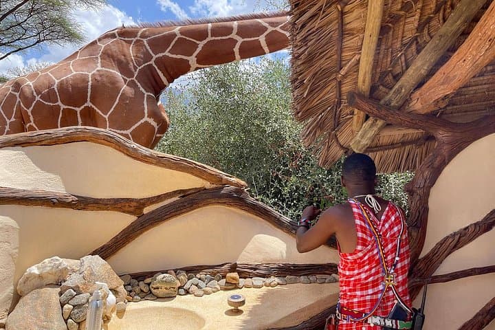 7-Day Serengeti & Ngorongoro Safari: Lake Manyara to the Great Migration photo 4