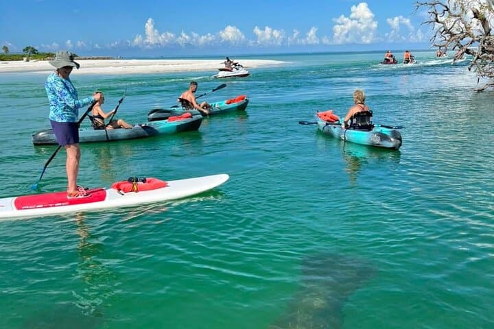 Big Hickory Island Self-Guided Kayak & SUP Rentals (CLEAR Kayaks) — Bonita Springs photo 5