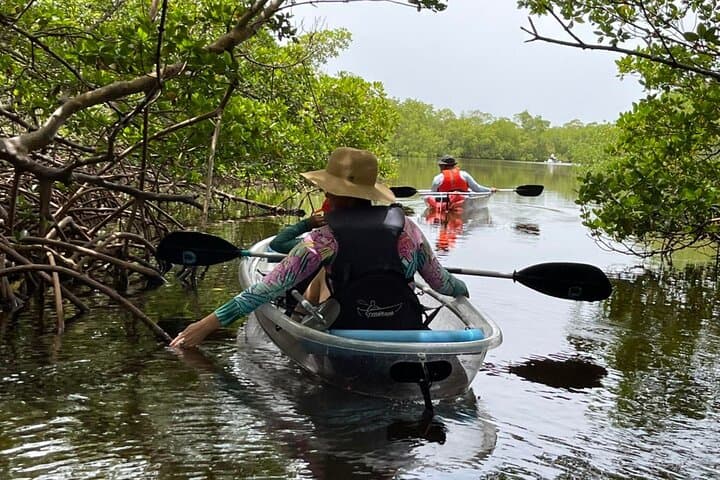 Big Hickory Island Self-Guided Kayak & SUP Rentals (CLEAR Kayaks) — Bonita Springs photo 2