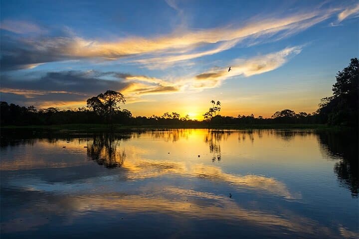 Tambopata Eco Jungle: 3-Day Wildlife Adventure to Lake Sandoval