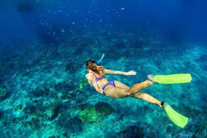 Cozumel Sea Safari: Snorkel Five Iconic Reefs from El Cielo to Palancar photo 2