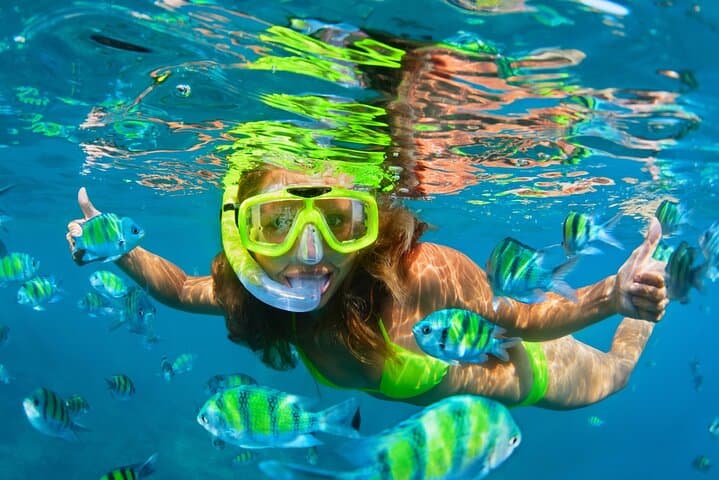Cozumel Sea Safari: Snorkel Five Iconic Reefs from El Cielo to Palancar photo 5