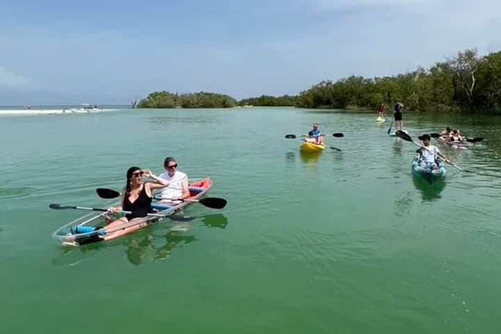 Big Hickory Island Self-Guided Kayak & SUP Rentals (CLEAR Kayaks) — Bonita Springs photo 6