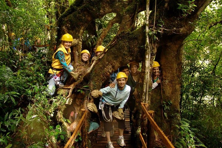 Cloud-Forest Canopy & Coffee Tour from San José — 13-Platform Adventure photo 2