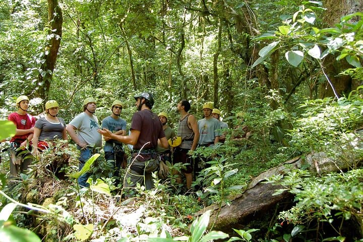 Cloud-Forest Canopy & Coffee Tour from San José — 13-Platform Adventure photo 3