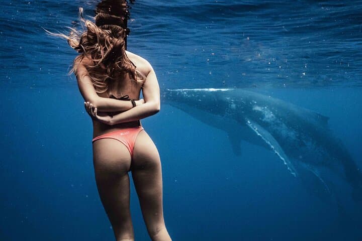 Moorea Private Half-Day Whale Watching: Small-Group Humpback Encounters photo 2