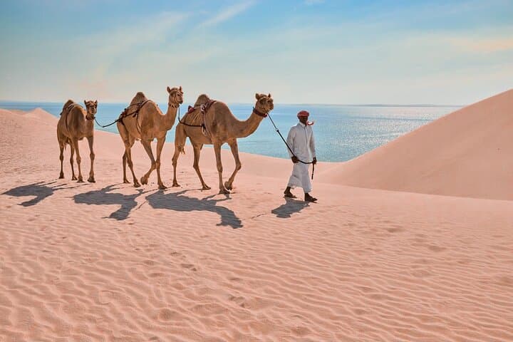 Doha Desert Half-Day: Camel Ride, 4x4 Dunes & Khor Al Adaid (Sealine Beach) photo 5