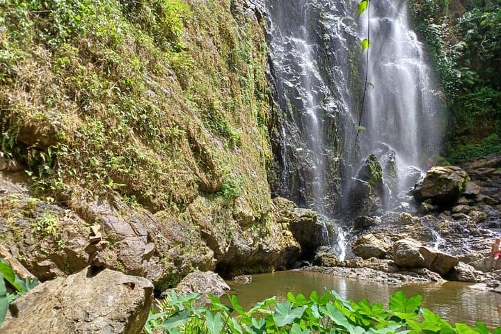 Forest Hike to a Gorgeous Waterfall in Puerto Rico — Creek Crossings & Optional Rappel